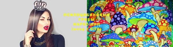 spice Навашино