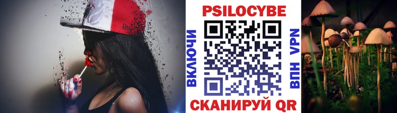 Галлюциногенные грибы Psilocybine cubensis  купить  сайты  Истра 