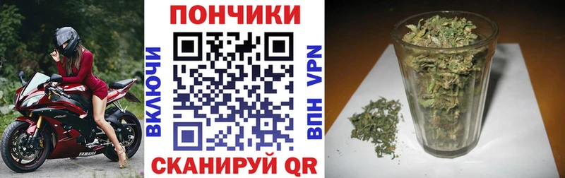 где продают наркотики  Истра  Бошки марихуана Bruce Banner 
